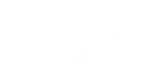 Klaviyo Partner